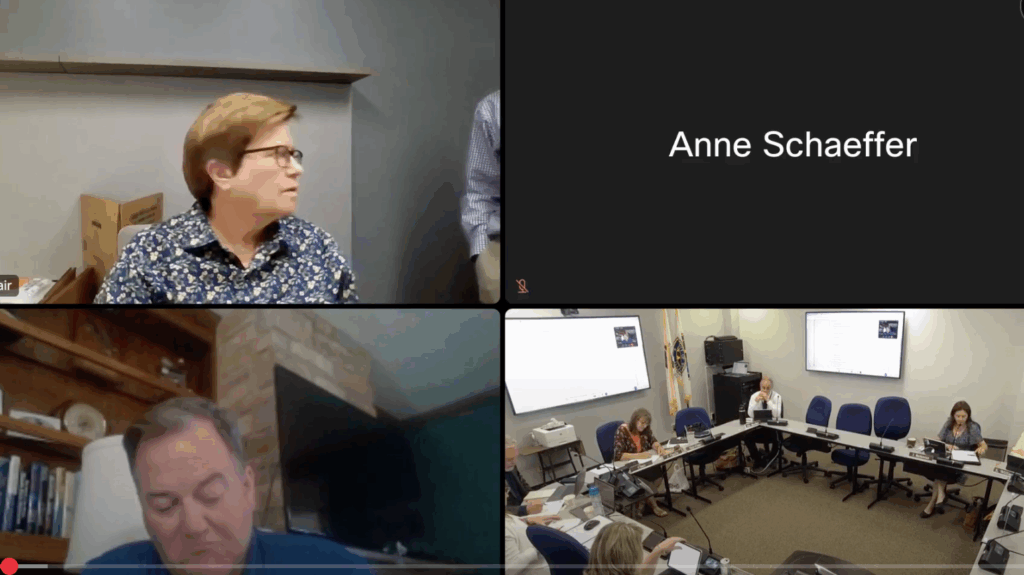 Will-County-Legislative-Committee-Meeting-July-1-2025