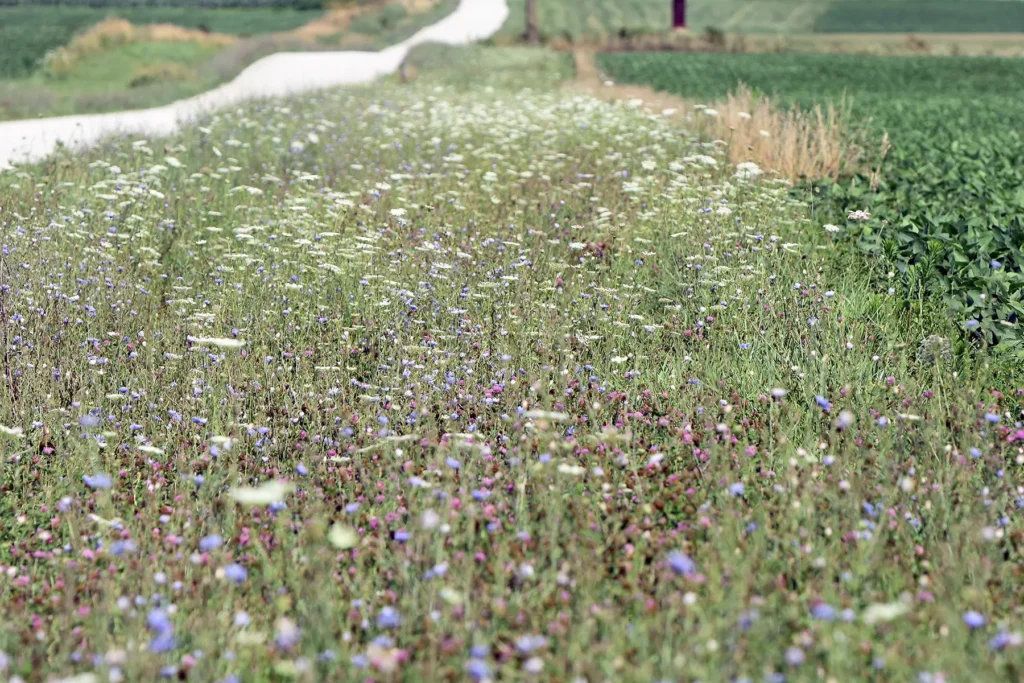 Green-Garden-Township-Graphic.1