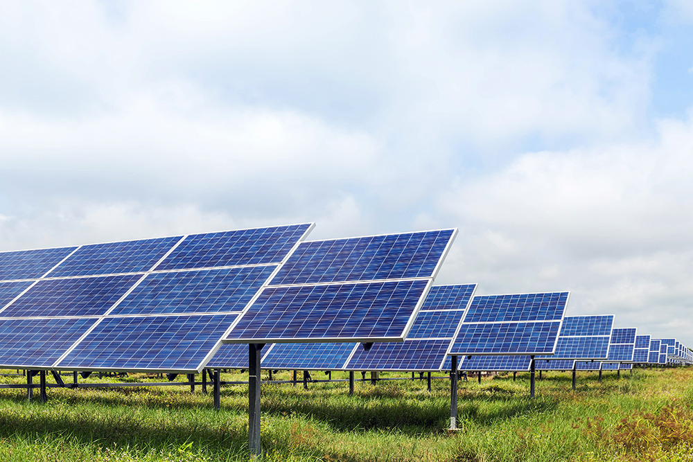 solar panels photovoltaics in solar farm