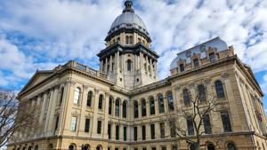 TCS stories about Illinois' diversity agency prompt call for audit