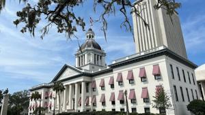 Despite vast elderly population, Florida lags other states in stopping Medicaid fraud