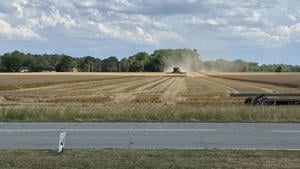 Illinois wheat harvest looks good despite storms