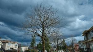 Illinois Quick Hits: Tornado kills 2 in Jefferson County