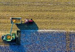 ‘Farm Bill’ may ease cost burden for farmers; Ag groups urge US Senate action