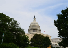 Netflix bid for Warner Bros draws antitrust warnings from GOP lawmakers