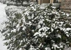 Nearly 1M without power as massive winter storm rages
