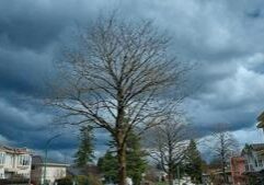 Illinois Quick Hits: Storms cause damage, closures