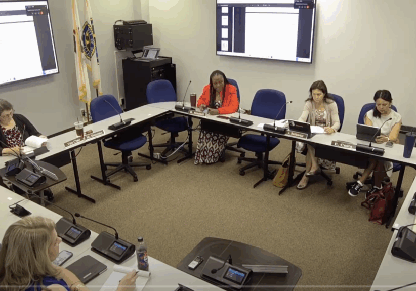 Will-County-Public-Health-Safety-Committee-Meeting-July-3-2025