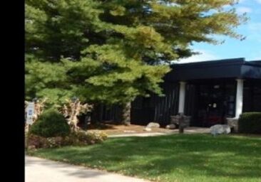 peotone library graphic logo.1